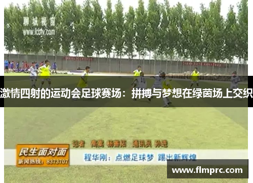 激情四射的运动会足球赛场：拼搏与梦想在绿茵场上交织